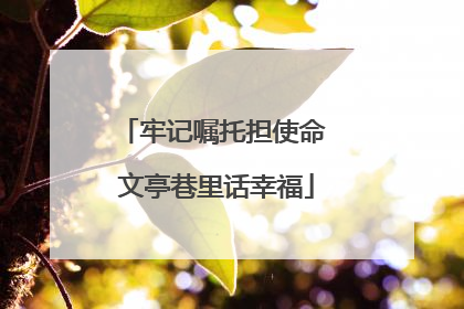 牢记嘱托担使命 文亭巷里话幸福