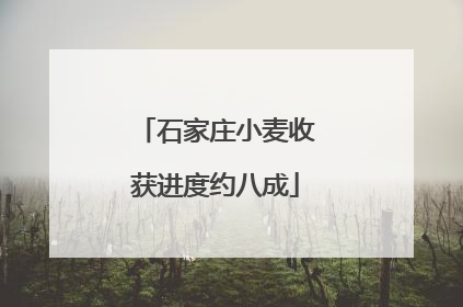 石家庄小麦收获进度约八成