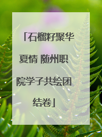 石榴籽聚华夏情 随州职院学子共绘团结卷