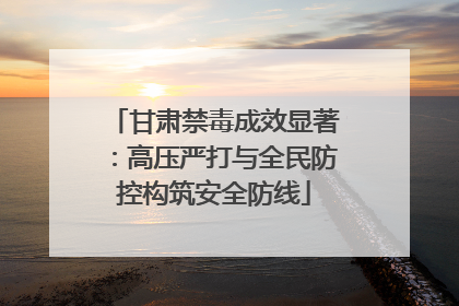 甘肃禁毒成效显著：高压严打与全民防控构筑安全防线