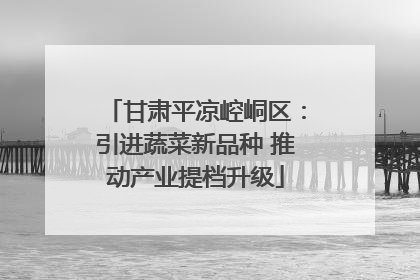 甘肃平凉崆峒区：引进蔬菜新品种 推动产业提档升级