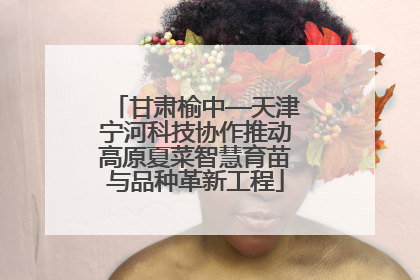 甘肃榆中—天津宁河科技协作推动高原夏菜智慧育苗与品种革新工程