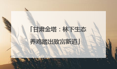 甘肃金塔：林下生态养鸡踏出致富新道