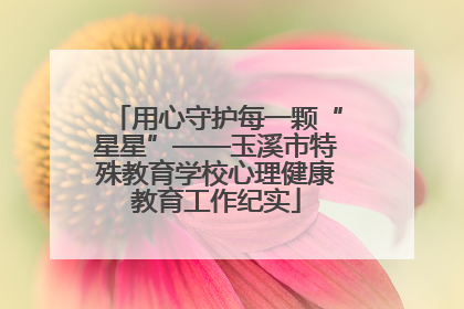 用心守护每一颗“星星”——玉溪市特殊教育学校心理健康教育工作纪实