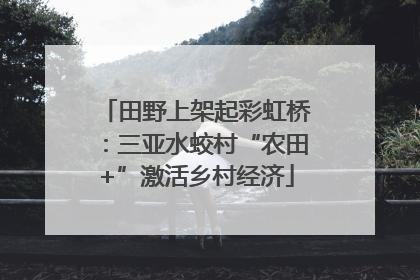 田野上架起彩虹桥：三亚水蛟村“农田+”激活乡村经济