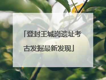 登封王城岗遗址考古发掘最新发现