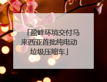 盈峰环境交付马来西亚首批纯电动垃圾压缩车