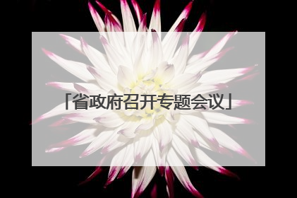 省政府召开专题会议