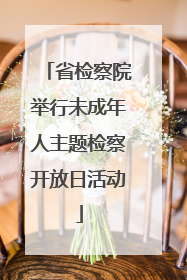 省检察院举行未成年人主题检察开放日活动