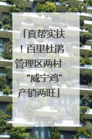 真帮实扶！百里杜鹃管理区两村“威宁鸡”产销两旺