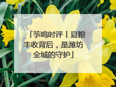 筝鸣时评丨夏粮丰收背后，是潍坊全城的守护