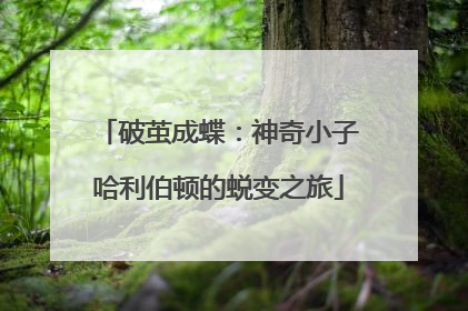 破茧成蝶：神奇小子哈利伯顿的蜕变之旅