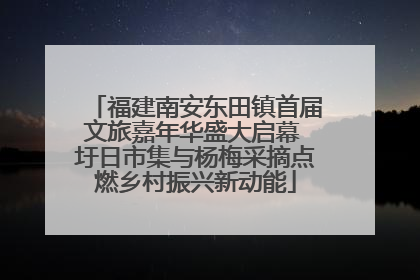 福建南安东田镇首届文旅嘉年华盛大启幕 圩日市集与杨梅采摘点燃乡村振兴新动能