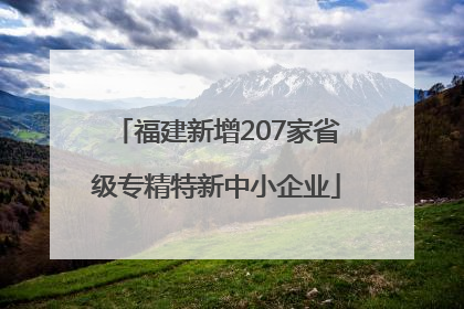 福建新增207家省级专精特新中小企业
