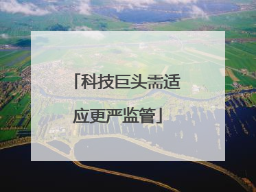 科技巨头需适应更严监管