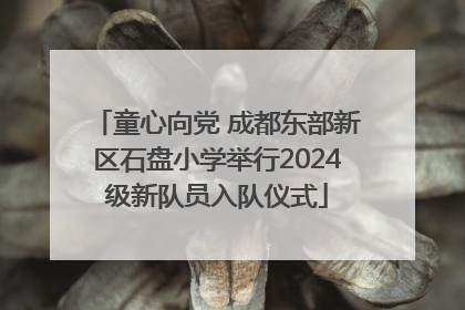 童心向党 成都东部新区石盘小学举行2024级新队员入队仪式