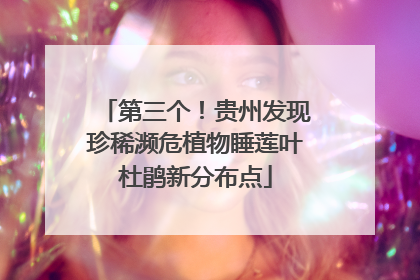 第三个！贵州发现珍稀濒危植物睡莲叶杜鹃新分布点