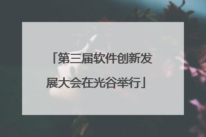 第三届软件创新发展大会在光谷举行