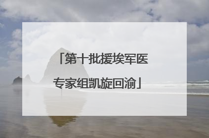 第十批援埃军医专家组凯旋回渝