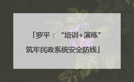 罗平：“培训+演练”筑牢民政系统安全防线