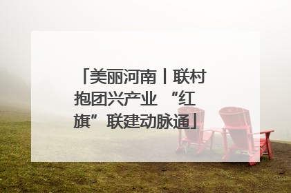 美丽河南丨联村抱团兴产业 “红旗”联建动脉通
