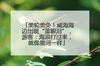 美轮美奂！威海海边出现“蓝眼泪”，游客：海浪打过来，就像星河一样
