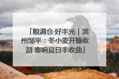 粮满仓·好丰光｜滨州邹平：冬小麦开镰收割 奏响夏日丰收曲