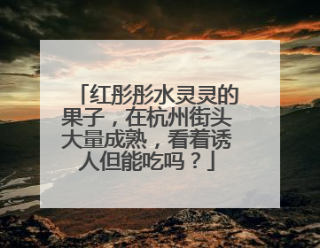 红彤彤水灵灵的果子，在杭州街头大量成熟，看着诱人但能吃吗？