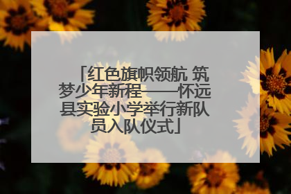 红色旗帜领航 筑梦少年新程——怀远县实验小学举行新队员入队仪式