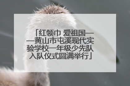 红领巾 爱祖国——黄山市屯溪现代实验学校一年级少先队入队仪式圆满举行