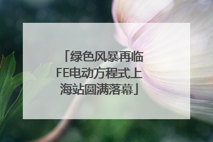 绿色风暴再临 FE电动方程式上海站圆满落幕