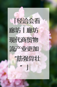 经洽会看廊坊丨廊坊现代商贸物流产业更加“筋强骨壮”