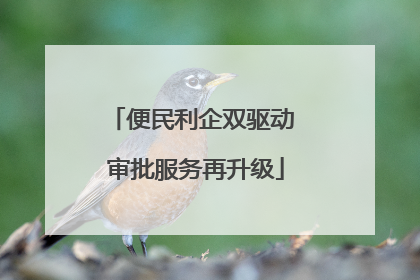 便民利企双驱动 审批服务再升级
