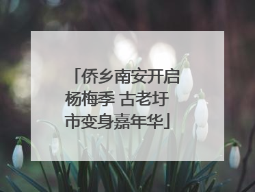 侨乡南安开启杨梅季 古老圩市变身嘉年华
