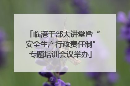 临港干部大讲堂暨“安全生产行政责任制”专题培训会议举办