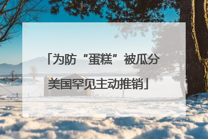 为防“蛋糕”被瓜分 美国罕见主动推销