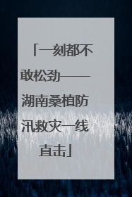 一刻都不敢松劲——湖南桑植防汛救灾一线直击