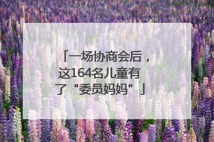 一场协商会后，这164名儿童有了“委员妈妈”