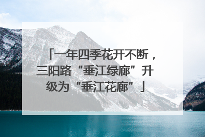 一年四季花开不断，三阳路“垂江绿廊”升级为“垂江花廊”