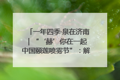 一年四季·泉在济南｜“‘赫’你在一起 中国颐莲喷雾节”：解锁济南夏日消费热潮中的国货新势力