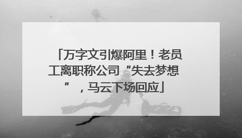 万字文引爆阿里！老员工离职称公司“失去梦想”，马云下场回应