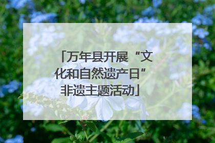 万年县开展“文化和自然遗产日”非遗主题活动
