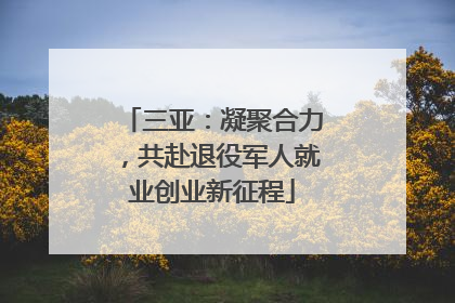 三亚：凝聚合力，共赴退役军人就业创业新征程