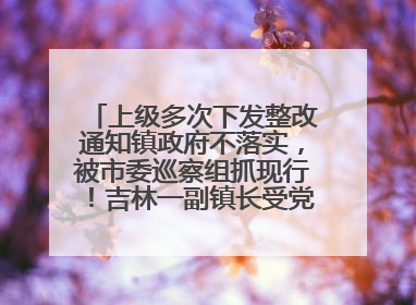 上级多次下发整改通知镇政府不落实，被市委巡察组抓现行！吉林一副镇长受党内警告处分