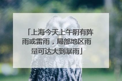 上海今天上午阴有阵雨或雷雨，局部地区雨量可达大到暴雨