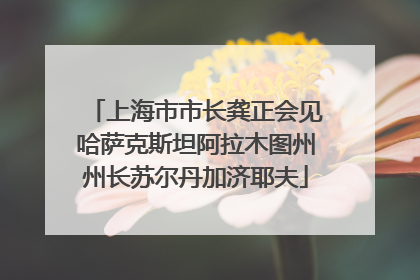 上海市市长龚正会见哈萨克斯坦阿拉木图州州长苏尔丹加济耶夫
