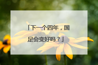 下一个四年，国足会变好吗？