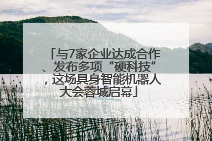 与7家企业达成合作、发布多项“硬科技”，这场具身智能机器人大会蓉城启幕