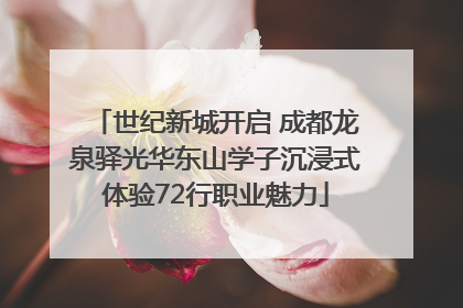 世纪新城开启 成都龙泉驿光华东山学子沉浸式体验72行职业魅力