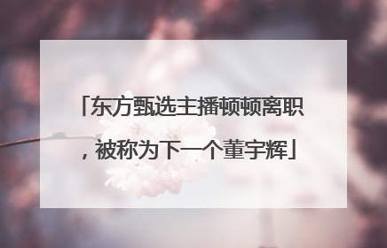 东方甄选主播顿顿离职，被称为下一个董宇辉